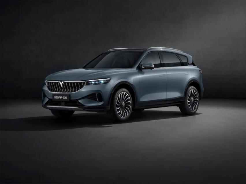 “性能级中大型智能电动SUV”岚图FREE正式开启预售
