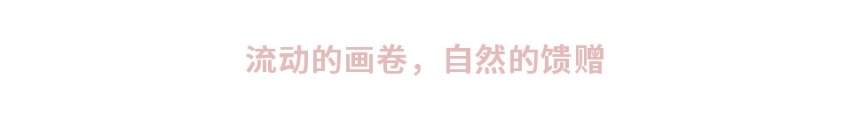 眼眸坠入心头，天地即是征途