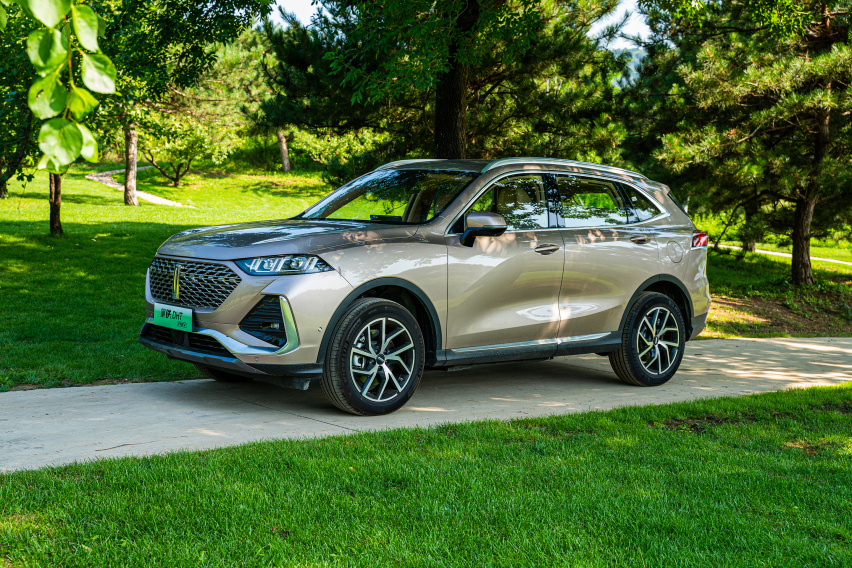 自驾奶爸座驾拿铁DHT-PHEV 夏日玩耍露营在金海湖碧波岛