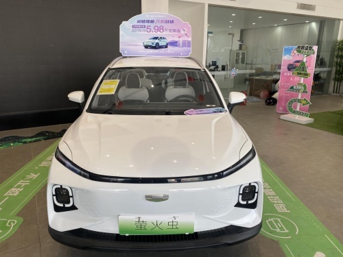 几何E龙腾版探店,5万+续航高达300km,这车真的可买!