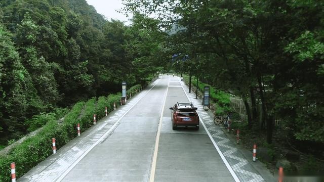 号外号外:杭州大院全员集结完毕,这是准备奕起出发搞事情?