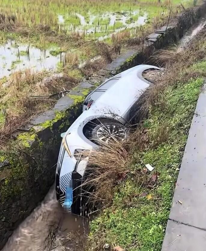 一年两箱油人称鬼见愁 聊聊什么是两箱油仙人