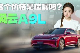 网友：等你好久了！风云A9L让合资轿车不开心