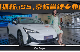 北京新能源指标家庭看过来，补贴后10万内的新αS5能买吗？