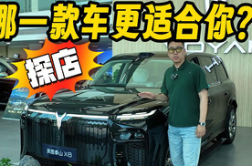 很多人都在看岚图，哪一款车更适合你？