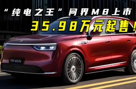 “纯电之王”问界M8上市，35.98万元起售