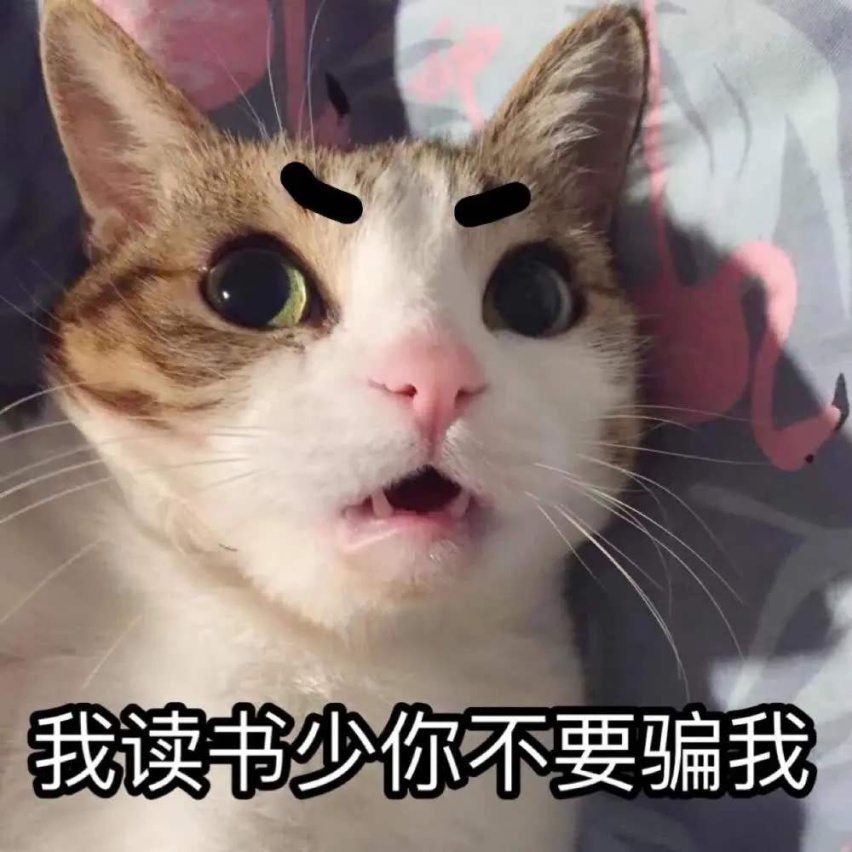 首批车主公开信发声，对零跑汽车失望痛心