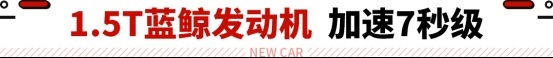 10万级也有赛道模式？这SUV七秒级性能 还自带三联屏 ！