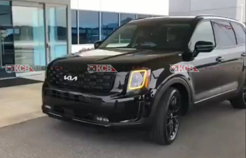 ȫڻ\Ӹб¿Tellurideՙع