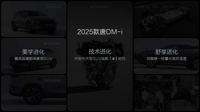 大唐生活家 为爱再进化，2025款唐DM-i上市发布会·武汉站