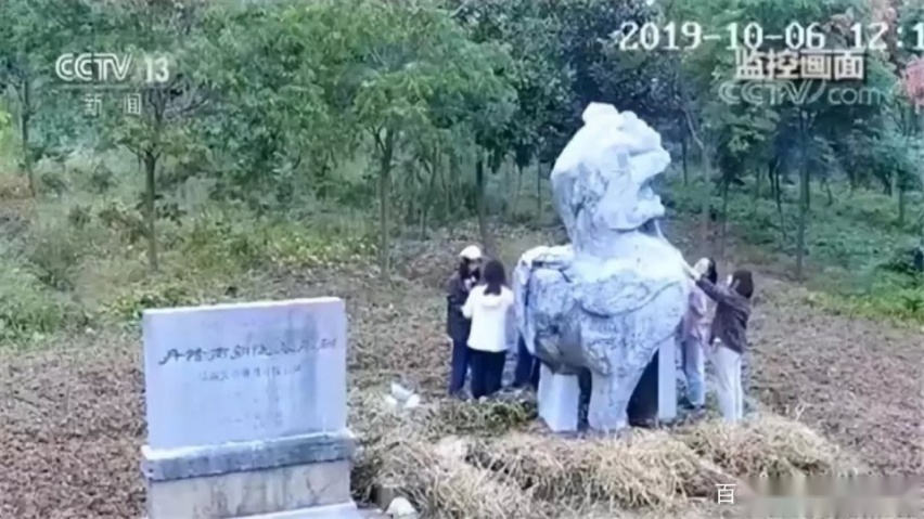 昨夜今晨 世界都发生了什么 10月11号新闻简报