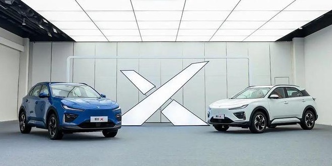 新势力汽车品牌11月销量TOP 10排序确认，排名需要分为两类