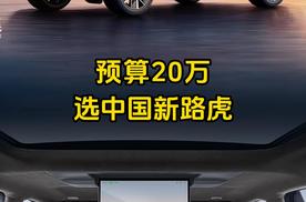 平替路虎揽胜？传祺向往S7预售不到20万