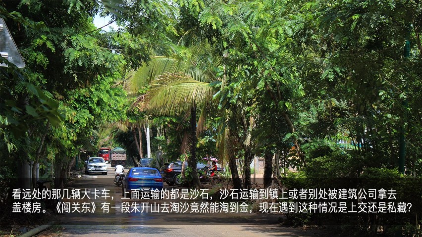 吉利幸福花田测和初恋的夏天—彩云之南西双版纳