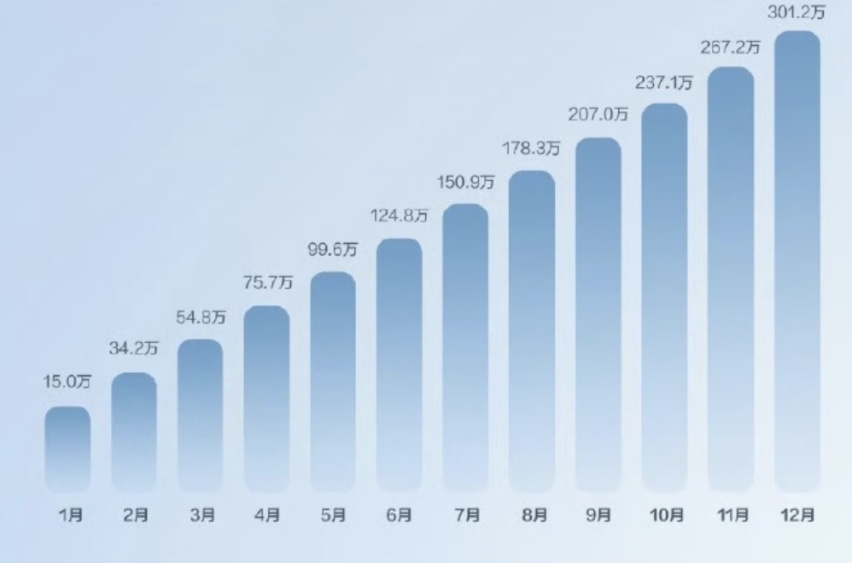 年销302w 比亚迪今年的优势在于？