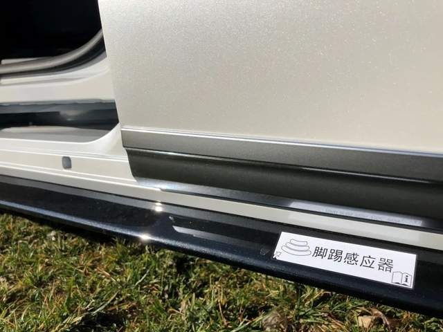 国产赛那强势入局，MPV市场这次会翻天吗？
