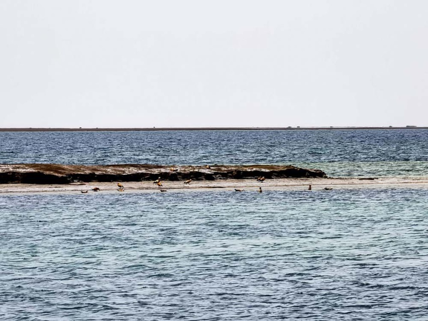 坦克300环青海长测Day6：打卡最美双色湖 这样的景色令人流连忘返！