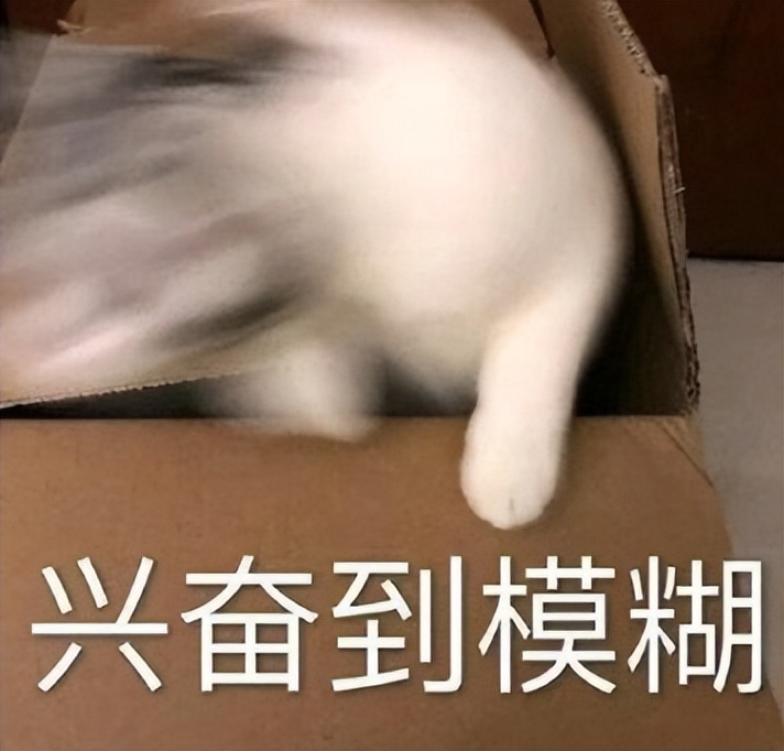 混动版驾控同样优秀，型格HATCHBACK要带火掀背轿跑？