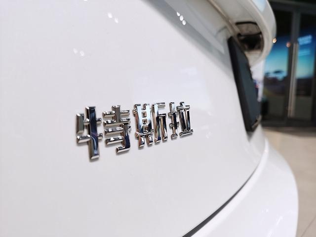 探店实拍国产Model 3，销售人员：我一个下午就签了3单！