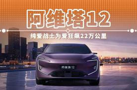 阿维塔12 纯爱战士为爱狂飙22万公里