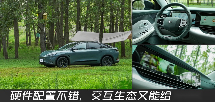 向着森林出发：三伏酷暑，试驾极狐阿尔法S森林版