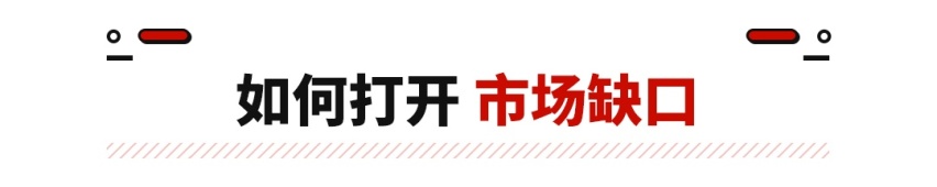比蔚来还便宜！这欧系纯电轿跑SUV来袭 要啥都满足？