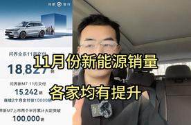 11月份部分销量解读，哪些车型最令人惊喜