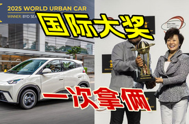 给国产车争光，比亚迪再获国际双奖，海鸥拿下“世界城市车”冠军
