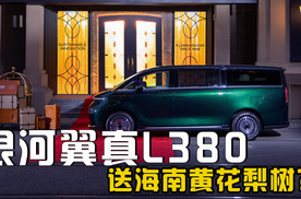 劳斯莱斯同款座椅面料、送海南黄花梨树？静态体验吉利银河翼真L380