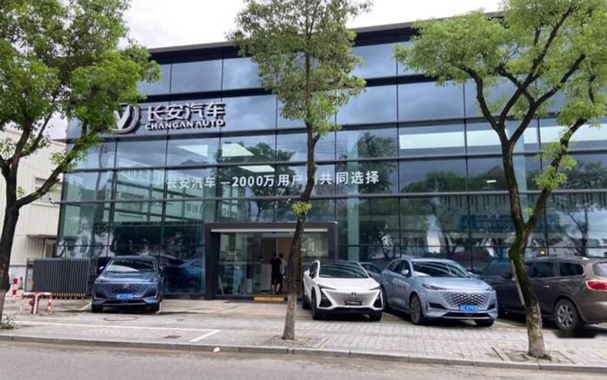 2021湖南新能源销量TOP10，理想仅第9、大众第5