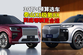 30万+预算选车，新能源8系SUV双王对决，到底哪辆更适合你？