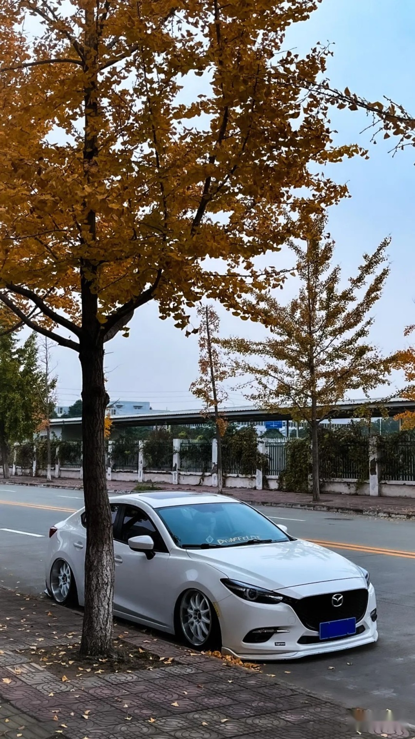姿态风马自达昂克赛拉，上套气动只需600元？