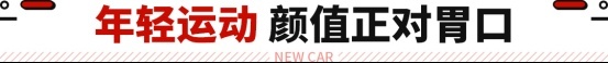 10万级也有赛道模式？这SUV七秒级性能 还自带三联屏 ！