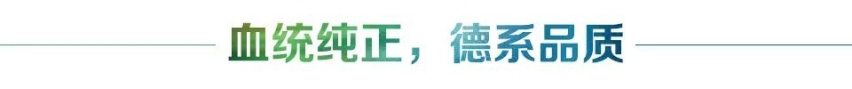 汽车品评 | 德系品质 捷达VS7 中型SUV性价之王