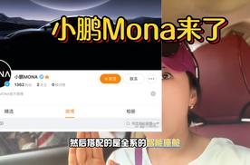 小鹏Mona配刀片电池、高阶智能 多少钱合适？