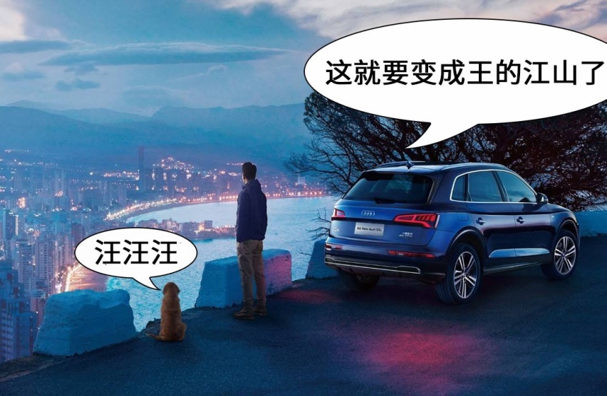上市1年拿下合资SUV销冠！2019年这几款车有话说！