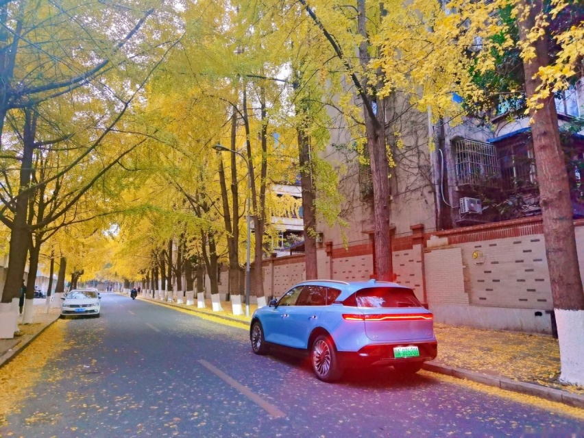 目光所及皆是豪华，跨级驾乘，试驾岚图FREE长续航版