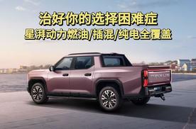 治好你的选择困难症，星湃动力燃油/混动/纯电全覆盖