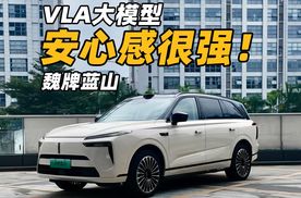 魏牌蓝山VLA大模型上车！驾驶辅助表现怎么样？