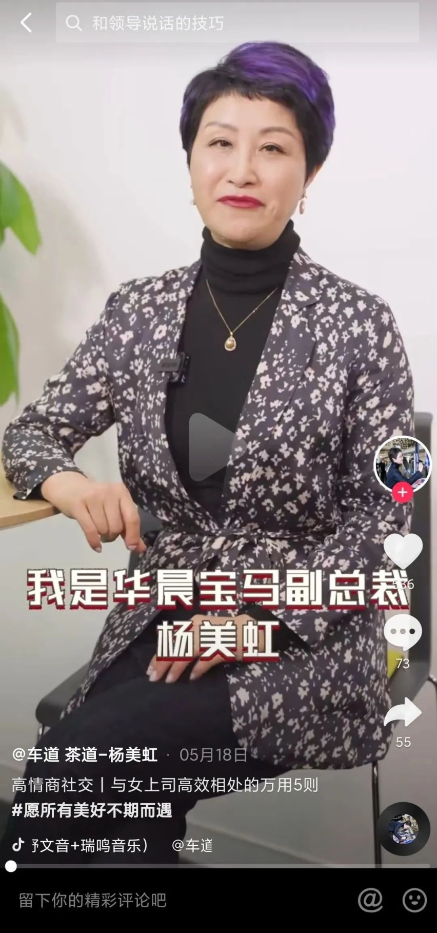 杨美虹、毛京波两大女神相助，陈安宁不愧是豪气一哥