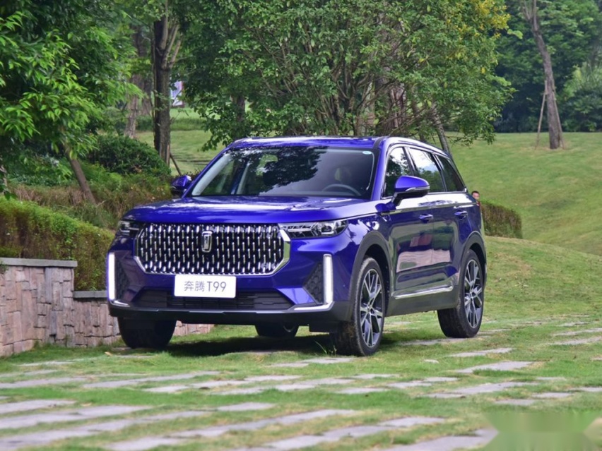 瞄准CS95和GS8，20万内的大空间SUV，奔腾T99正式