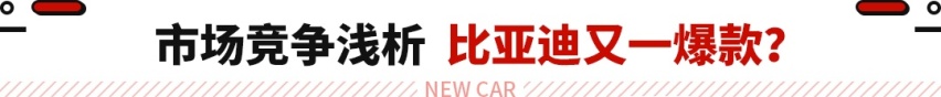堪称比亚迪最美SUV！全新车型官图发布 平替版帕拉梅拉？