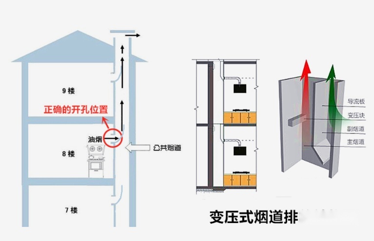 自然机器人浦软孵化的“效率风暴”｜新质生产力看张江