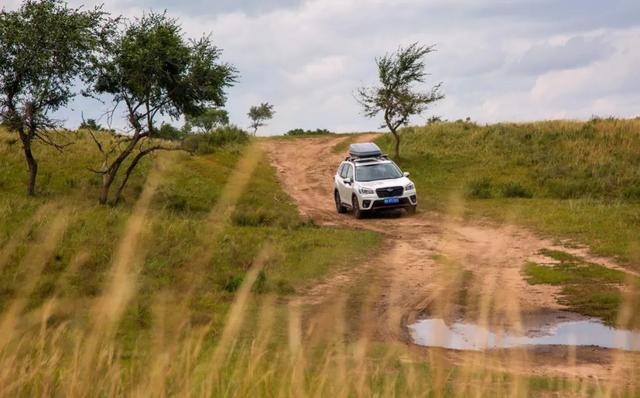 可能是最安全的一台SUV 森林人12000km长测报告