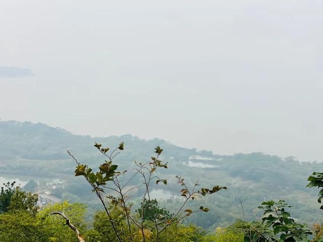 “一分为三”巢湖市后，合肥、芜湖、马鞍山新行政区划图
