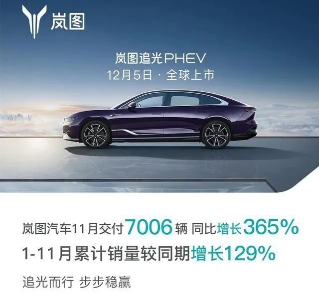 11月新能源汽车销量榜：理想提前完成年销30万，吉利系抬头