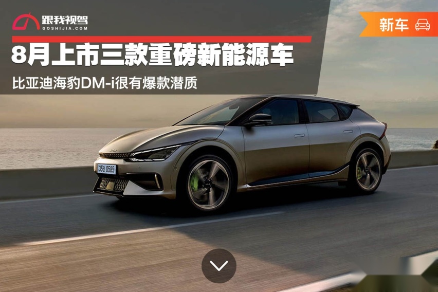 8月上市三款重磅新能源车 比亚迪海豹DM-i很有爆款潜质