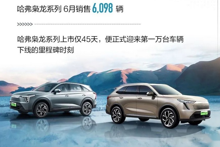 哈弗枭龙系列月销量达到6098台，产品实力究竟如何？