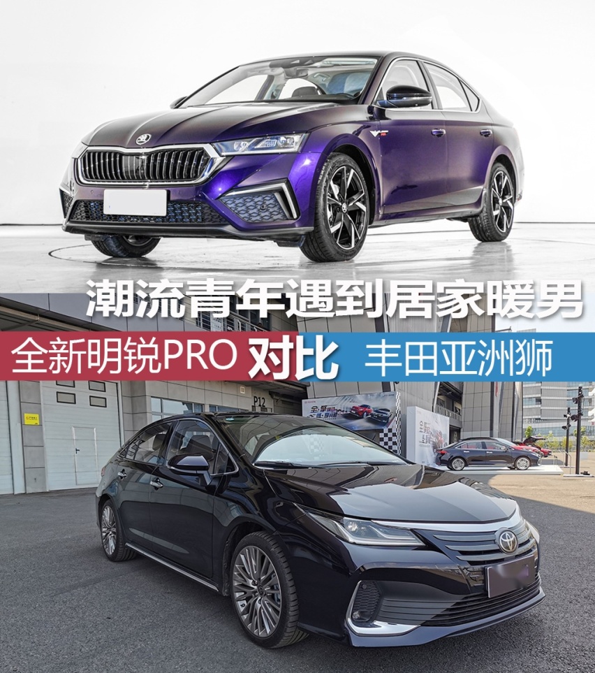 潮流青年遇到居家暖男 明锐PRO对比亚洲狮