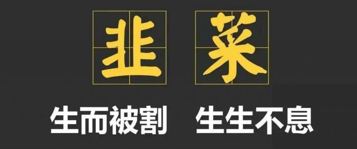 入门纯电动车之间的PK 思皓E10X对比宏光MINI EV